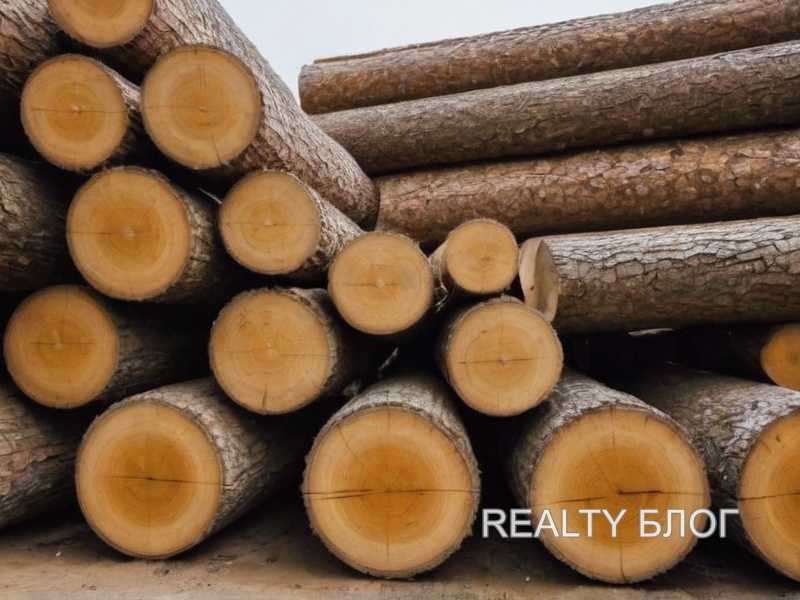 Обработка древесины: защита от насекомых и гниения