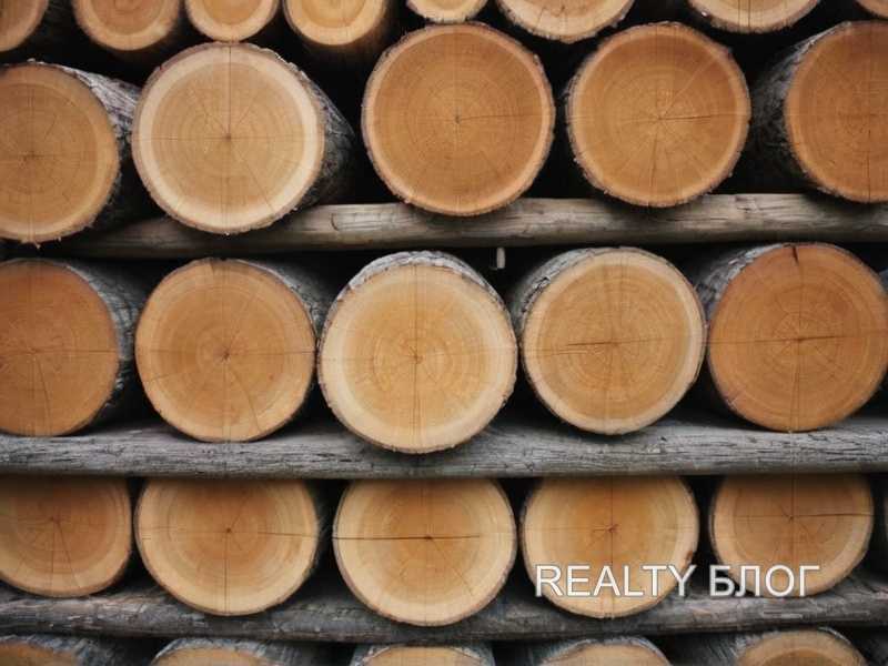 Проверка наличия дефектов и сучков в древесине