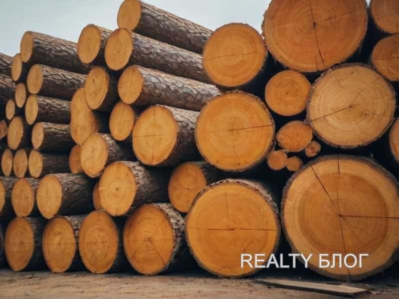 Выбор породы древесины для разных комнат: на что обратить внимание