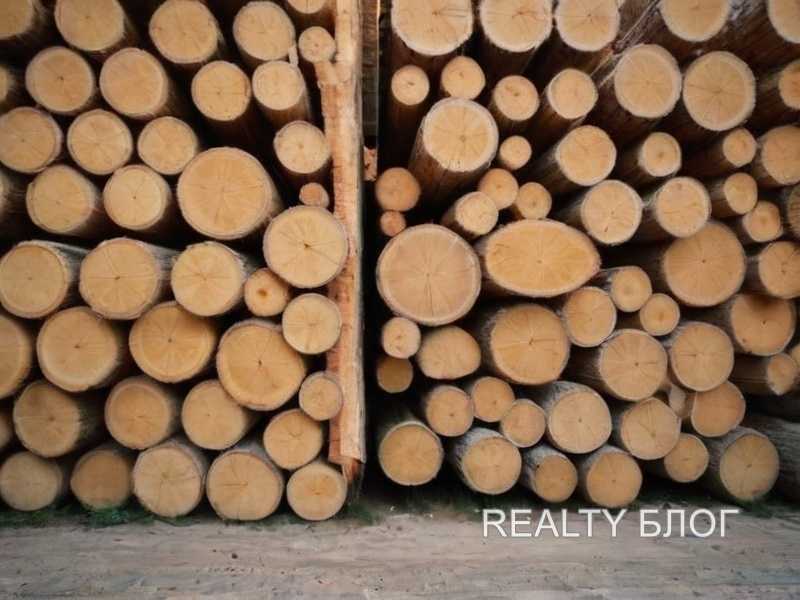 Выбор древесины для ванной комнаты