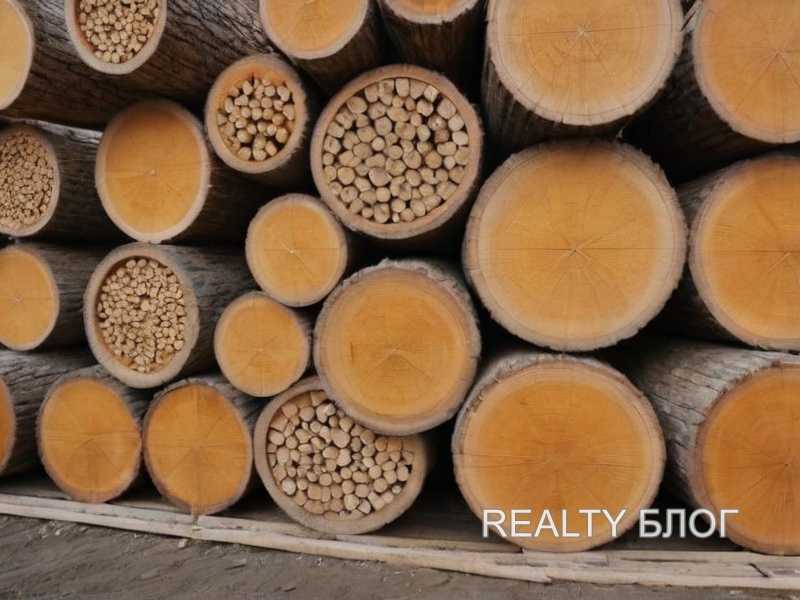 Как выбрать древесину с минимальными дефектами?
